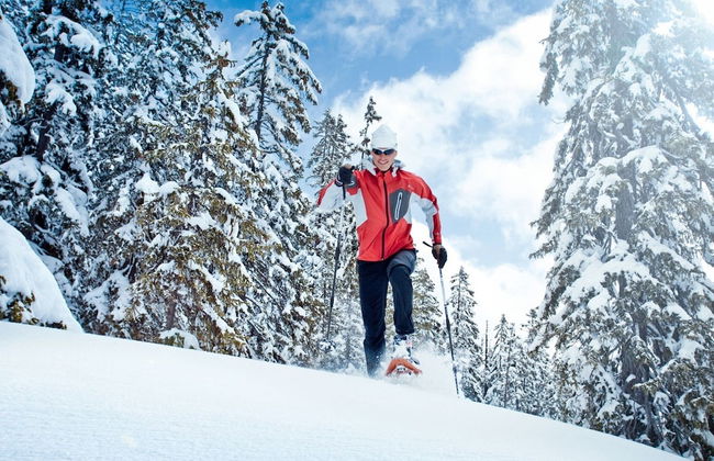 Apartment in Niedernsill Near Zell am See Ski Area - Foto 17