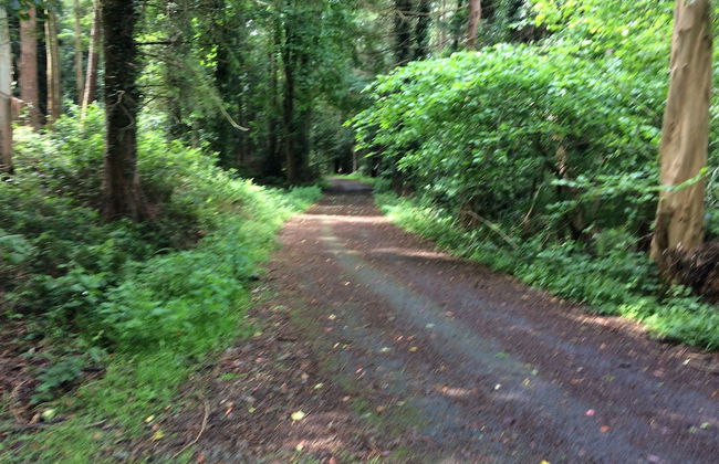 Priest Bridge Cottage - Foto 10