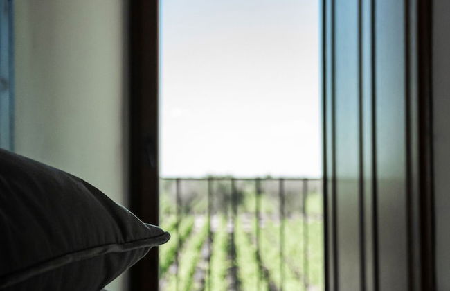 Masseria Torleanzi - Wine Relais - Photo 14