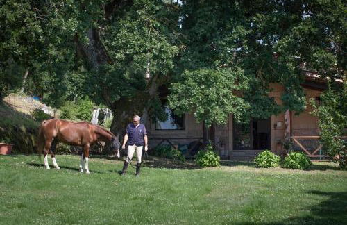Castello di Santa Cristina - Foto 47