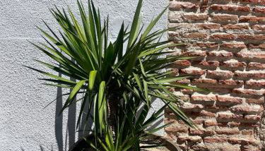 Villacremita Nice and different house in Rueda - Foto 3