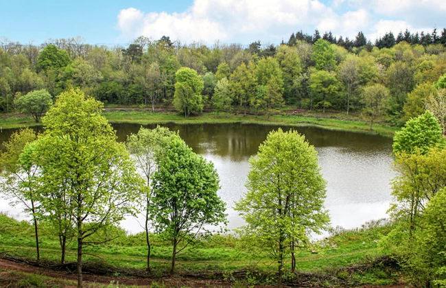 Apartment in Deudesfeld With Private Terrace - Foto 31