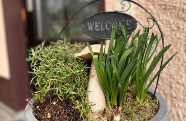 Lieblingsplatz by Julia & Tom - Foto 63