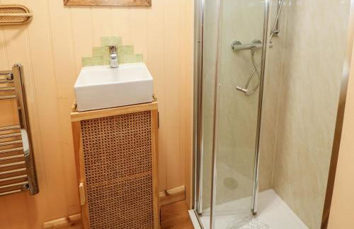 Bracken Fern - Photo 15