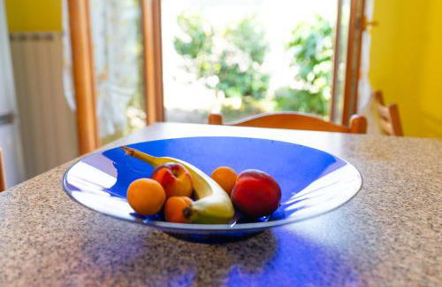 House of Camellias - Ground Floor with Garden - Foto 19