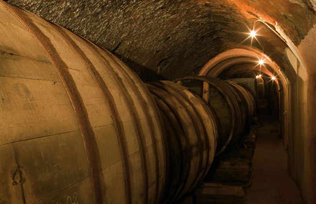 Bodegas De Alberto Tour - Photo 2