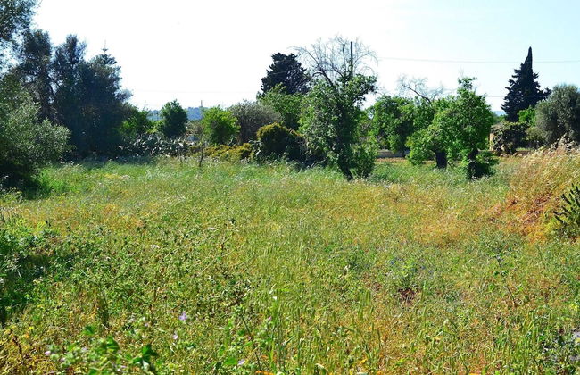 Cottage in Sicily With Private Garden & BBQ - Foto 22