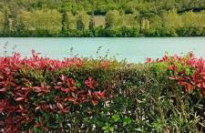 La Maison Tranquille at the Lake 1 Bedroom House - Photo 11