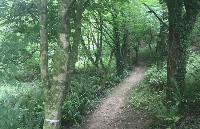 2-bed Apartment Sleeps 4 With Garden - Foto 14