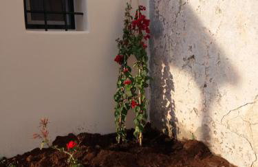 Maira Arch House - Foto 29