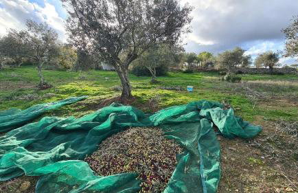 Casas do Monte - Foto 42