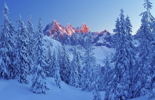 Apartment in Filzmoos Near Ski Amade - Photo 22