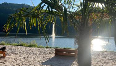 Ferienhaus Seeblick - Foto 2