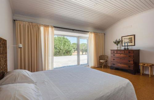 Nature Forest - Herdade de Martingil - Foto 48