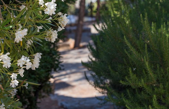 Monemvasia Village - Foto 36