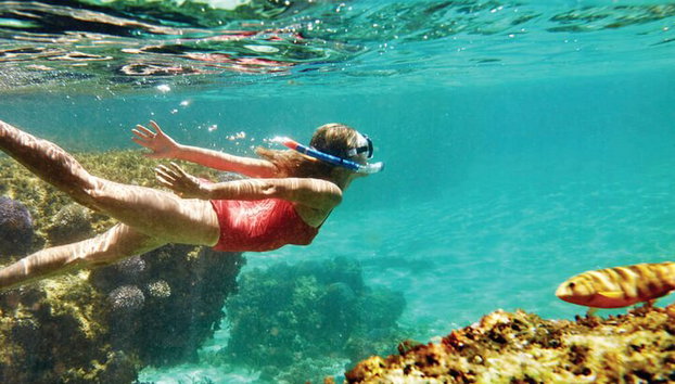 Crucero de natación exclusivo en Rodas: barra libre de cócteles y bufé gourmet - Foto 2, Snorkel en la Bahía de Kalithea. El barco proporciona máscaras y respiradores.