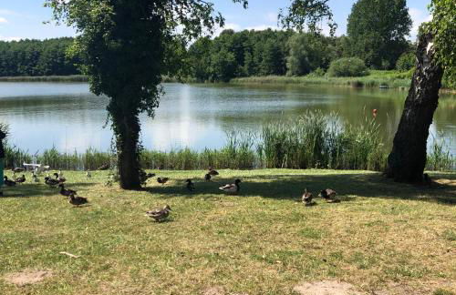 Strandstraße H3W6 Kölpinsee - Foto 42