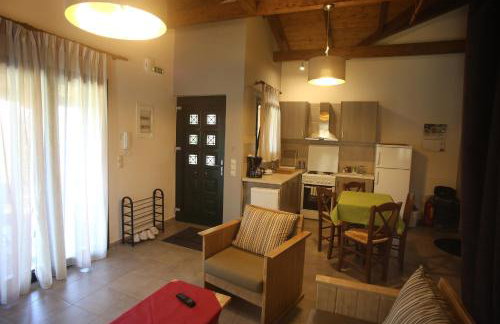 Morchella MushROOM - Foto 10