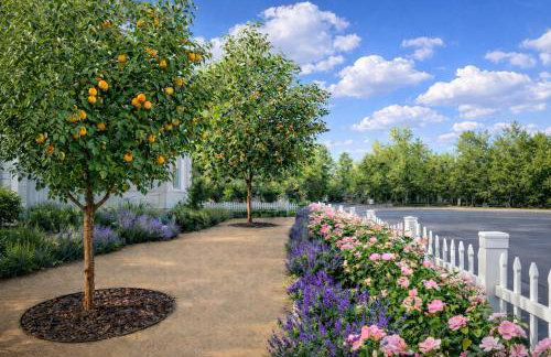 The Queen On Main - Foto 38