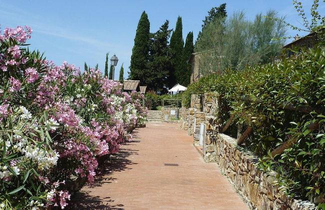 Apartment in Campiglia Marittima - Foto 18