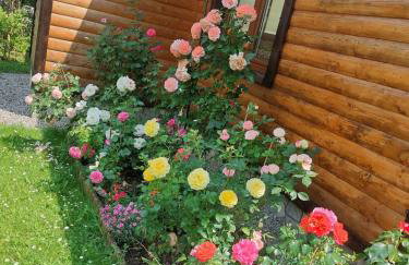 Agroturystka Dom w Owocowym Sadzie - Foto 21