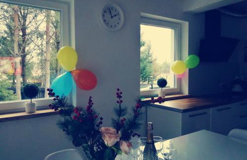 Mazurska Niwa - Foto 19