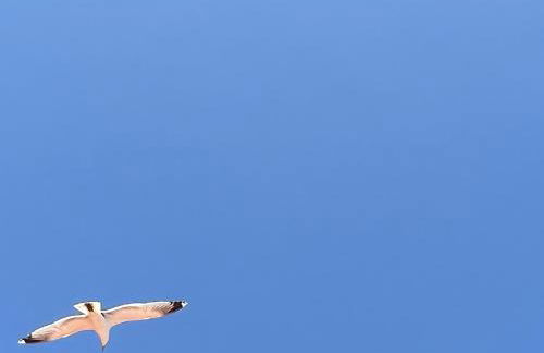 Sunrise beach apartment - Riarmar - Foto 33