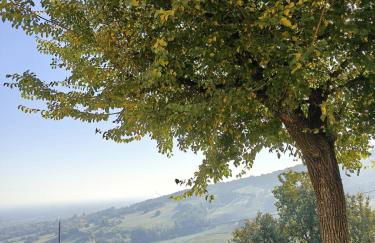 Casa per ferie Cà Monte - Borzano di Albinea - Foto 18