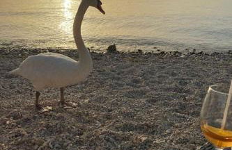 Apartment Gardasee Colá-Lazise by Interhome - Foto 23