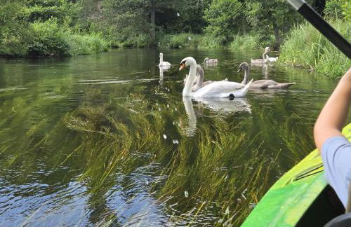 Rzeka, plaża, sauna, kajaki - Plażowe Zacisze - Foto 27