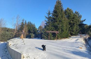 Agroturystyka na wsi w borach tucholskich - Foto 26