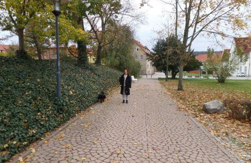 Apartment Am Kurpark - Foto 28