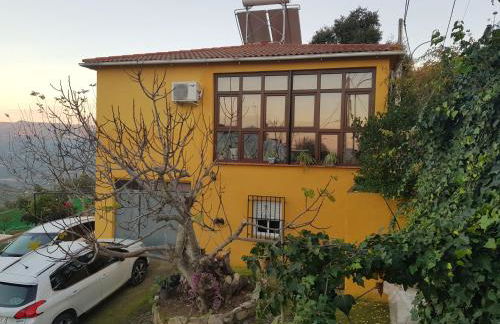 Cortijo de la Cruz - Foto 28