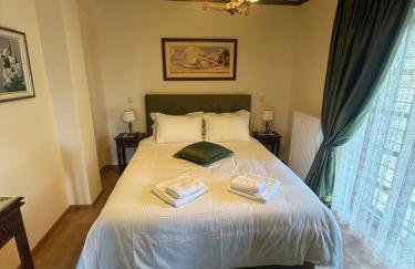 Petrini Armonia, Vitsa Zagori - Foto 14