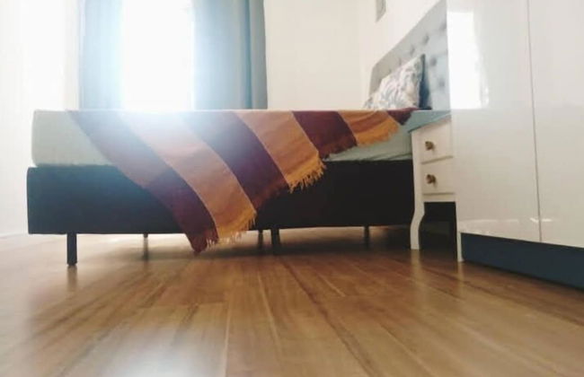 Marcos Morais - Foto 2