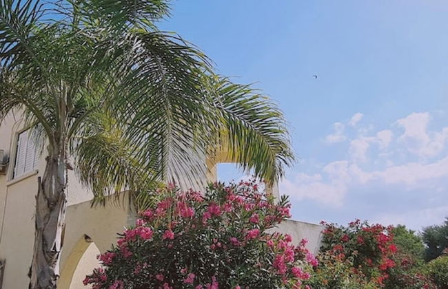 15 ATH - Swallow s Nest Villa - Foto 46