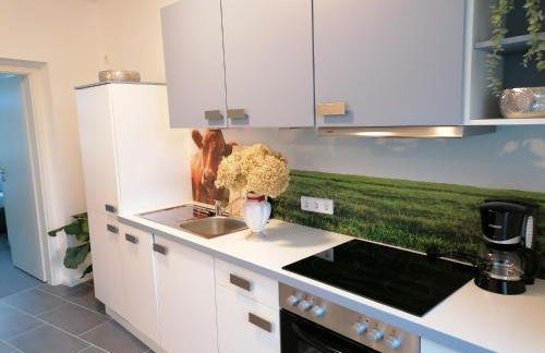 Sleep & Living FeWo Aschersleben ehem Apt BonaLoca - Foto 10