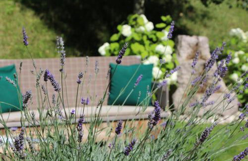 Villa Ortensia - Photo 51