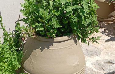 "Villa Kastania" Melidoni, Chania, Crete - Foto 37