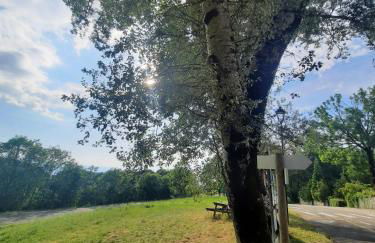 Ristoro la Verna, appartamenti in affitto - Foto 23