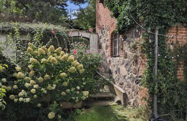 Große Ferienwohnung in Flecken Zechlin - Photo 1