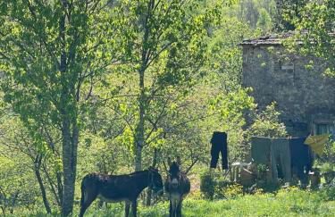 The Stone House - Foto 54