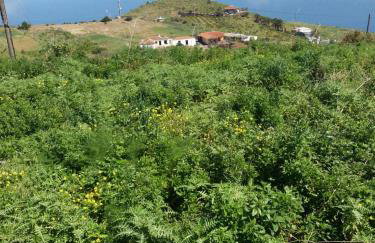 Casa El Molino - Foto 31