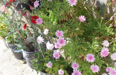 Moradias Ode - Photo 40