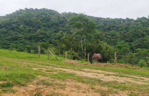 Loft com piscina natural em Cachoeiras de Macacu - Foto 46