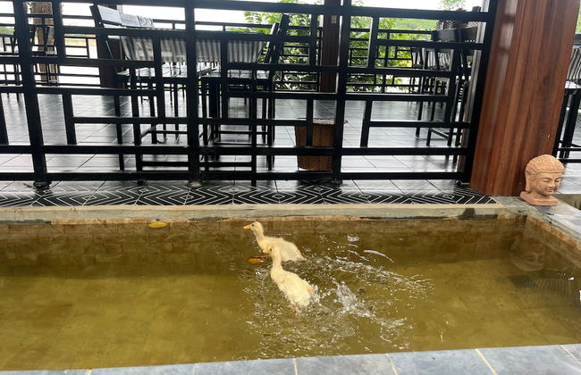 Nguyen Shack Retreat - Foto 53