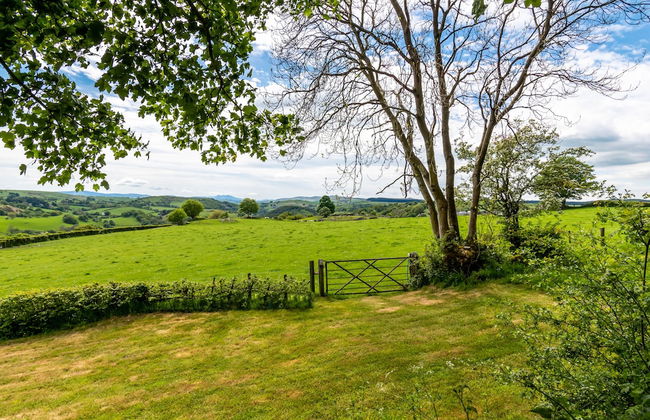 Bwthyn Clychau'r Gog - Foto 12