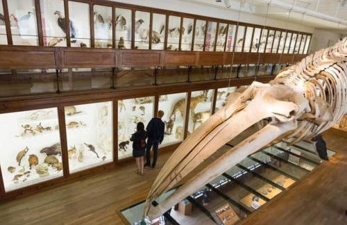 Studio Gare - Jardin des Plantes - wifi & calme - Foto 19