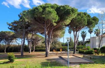 Casa Giul' Poggio Mezzana - Foto 8