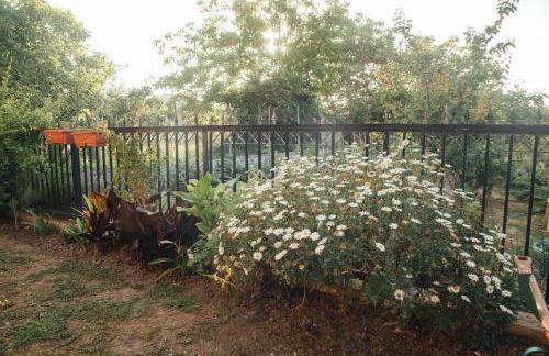 Tsirigotis Garden - Foto 20